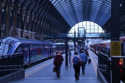 DSC_1586 (Large).JPG